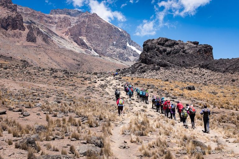 6 Days Machame Route