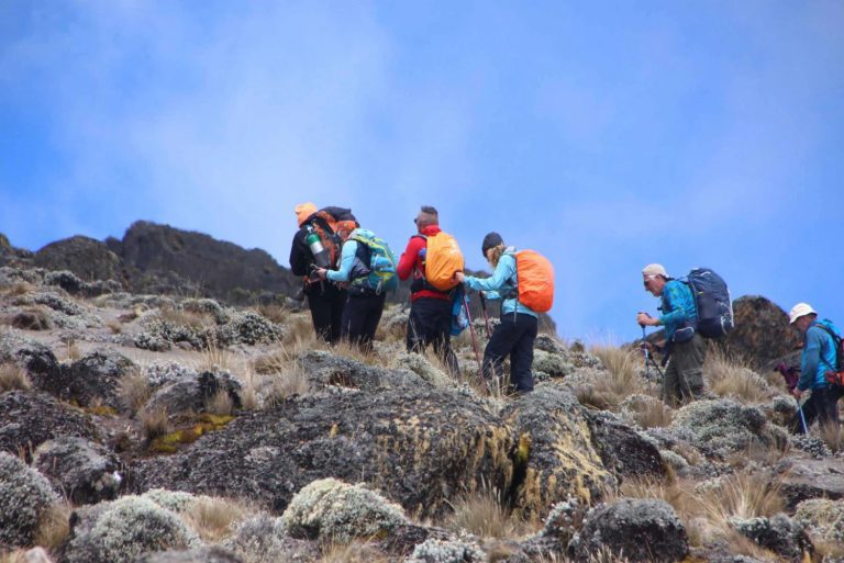 7 Days Machame Route